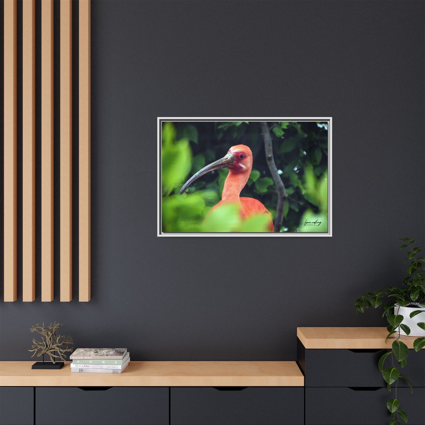 Wanna Be Flamingo - Switzerland