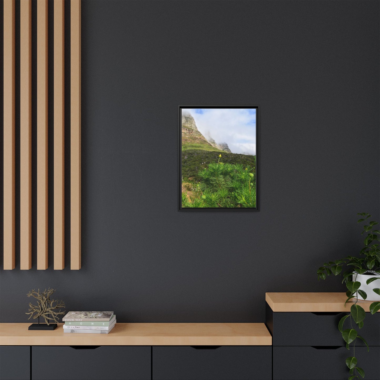 Wildflower - Capetown