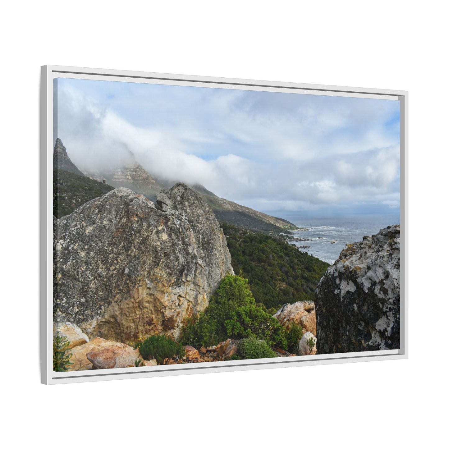 The View - Cape Town