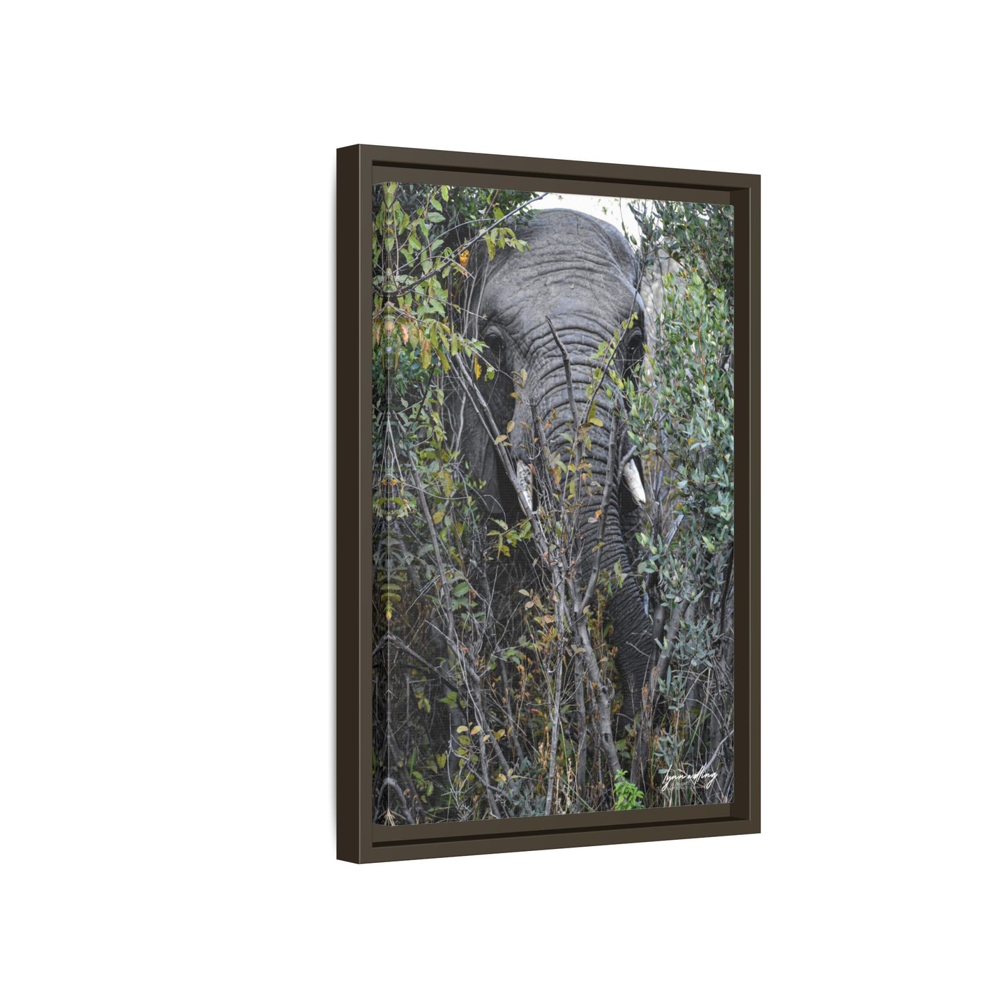 Eye to Eye - South Africa