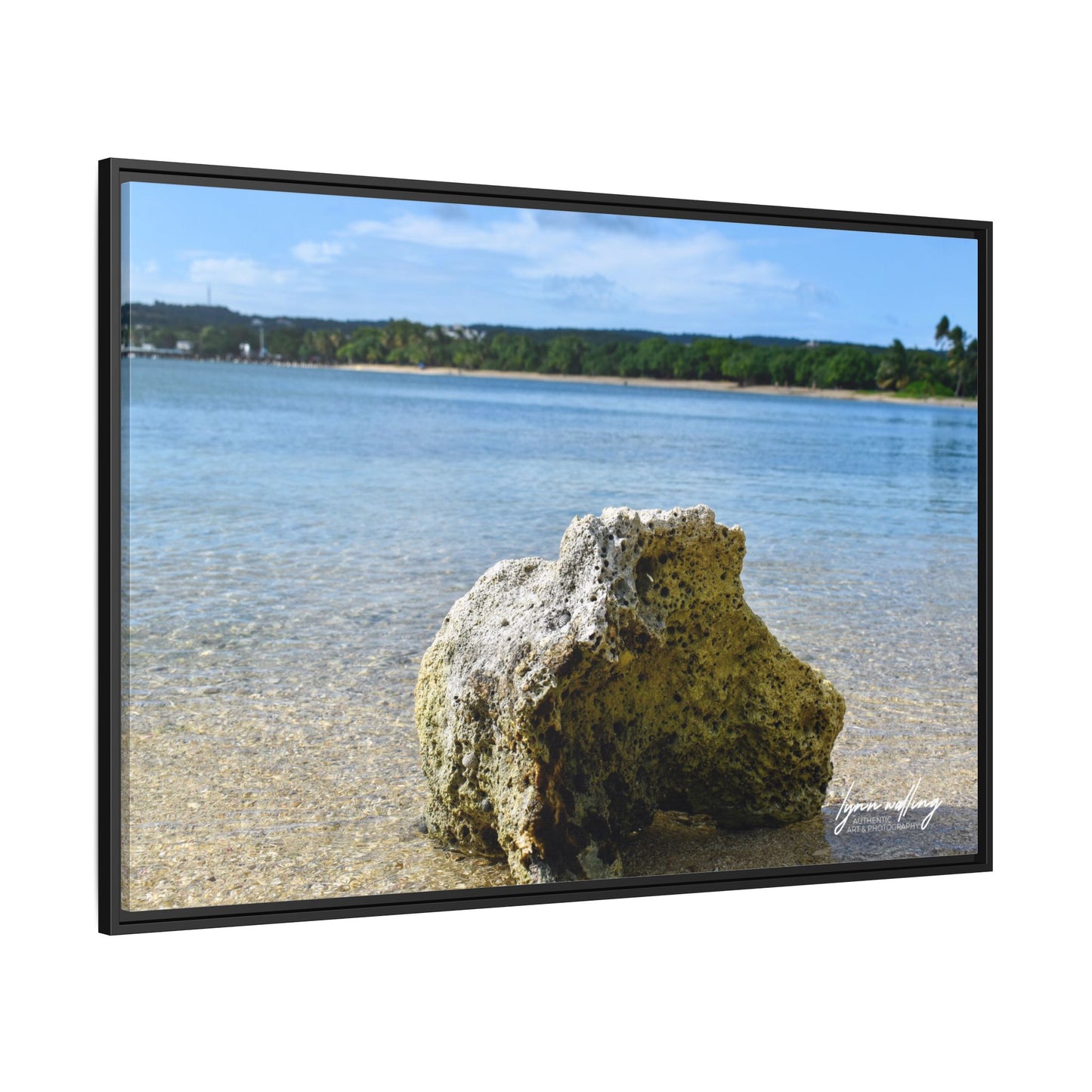 The View - Puerto Rico