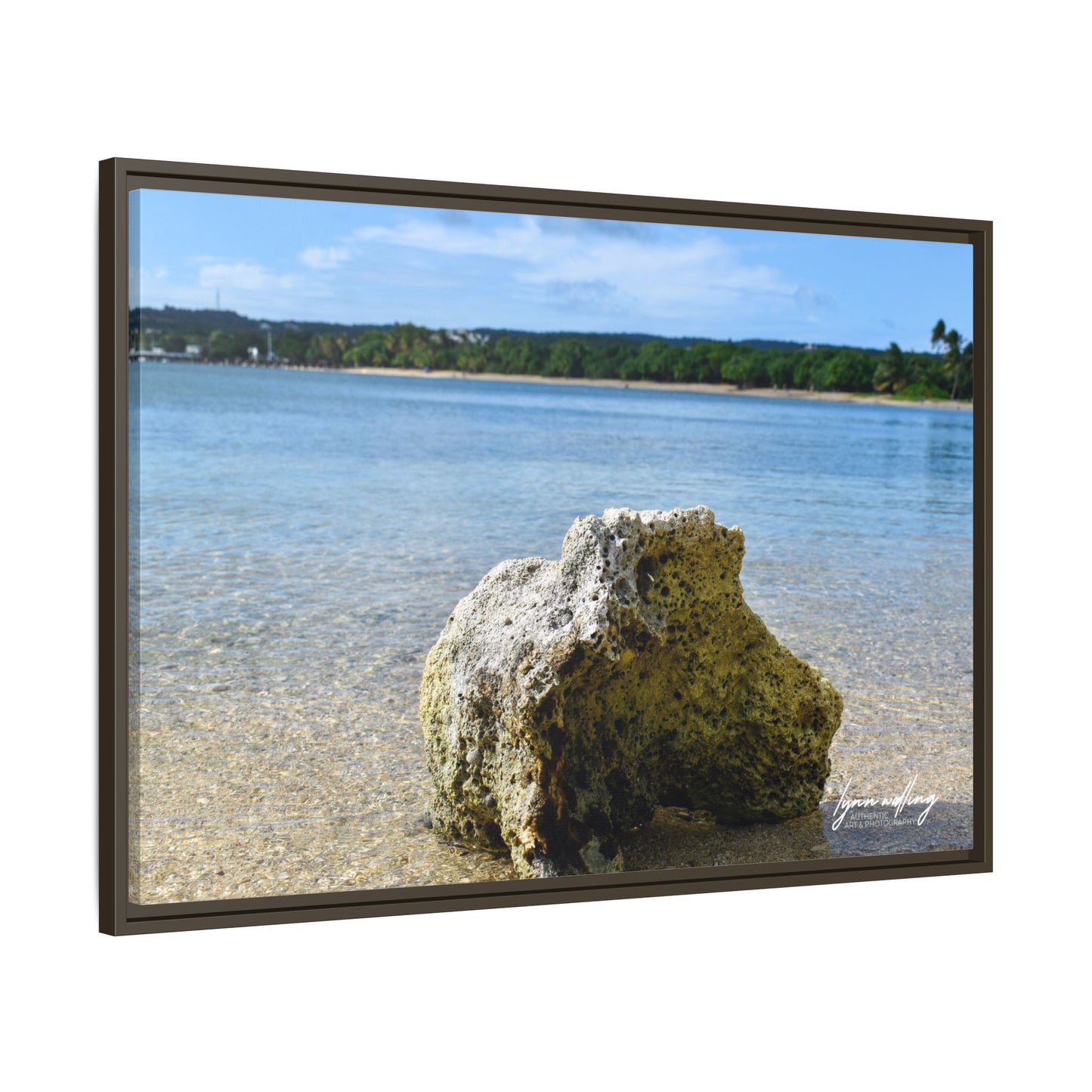 The View - Puerto Rico