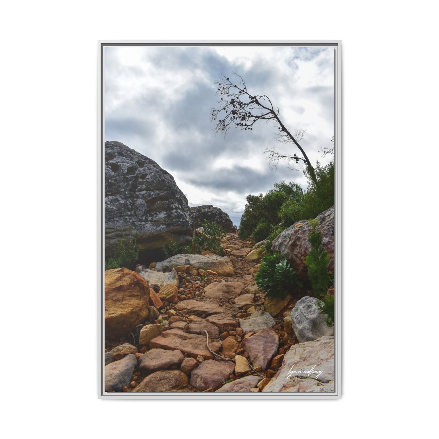 Path to Nowhere - Capetown