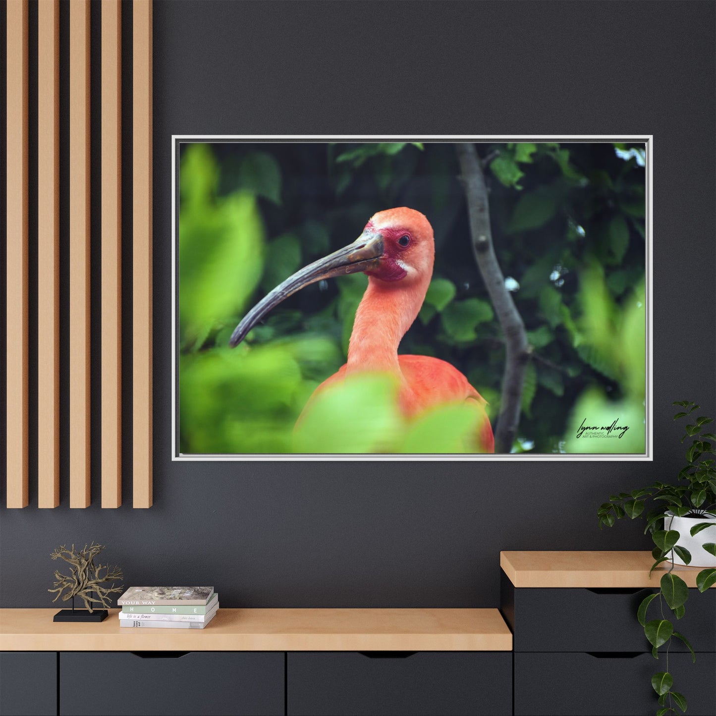 Wanna Be Flamingo - Switzerland