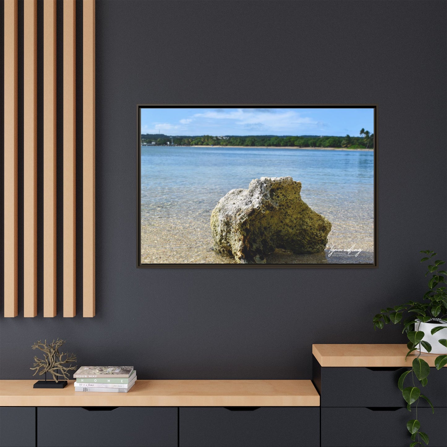 The View - Puerto Rico