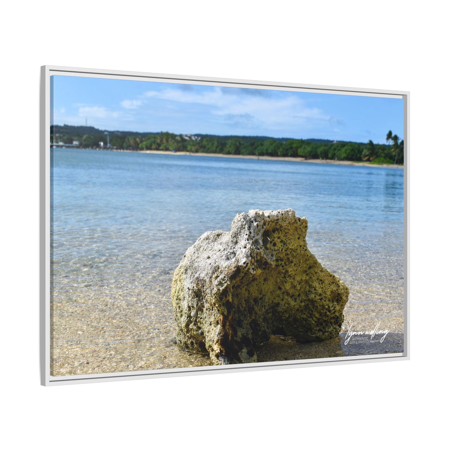 The View - Puerto Rico