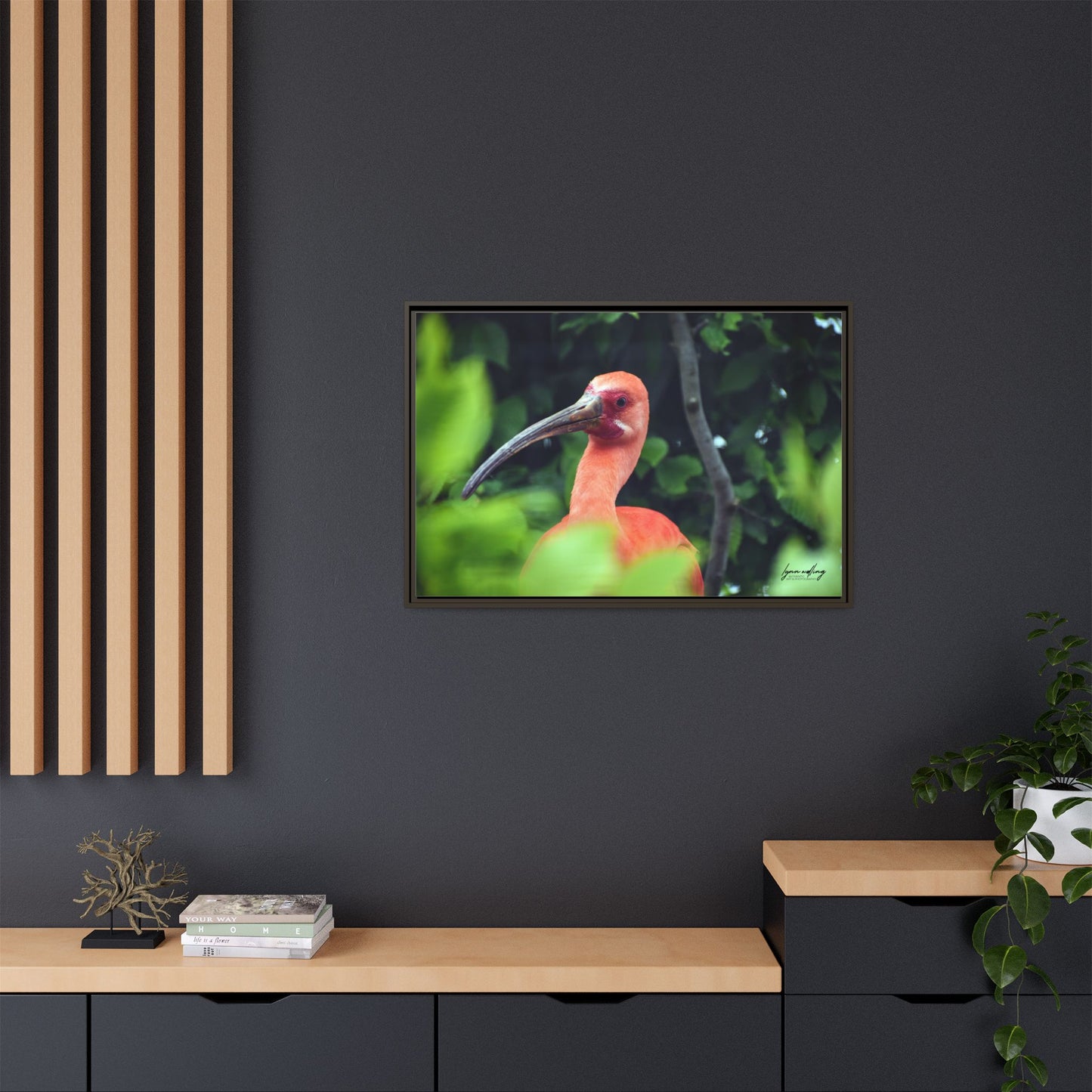 Wanna Be Flamingo - Switzerland