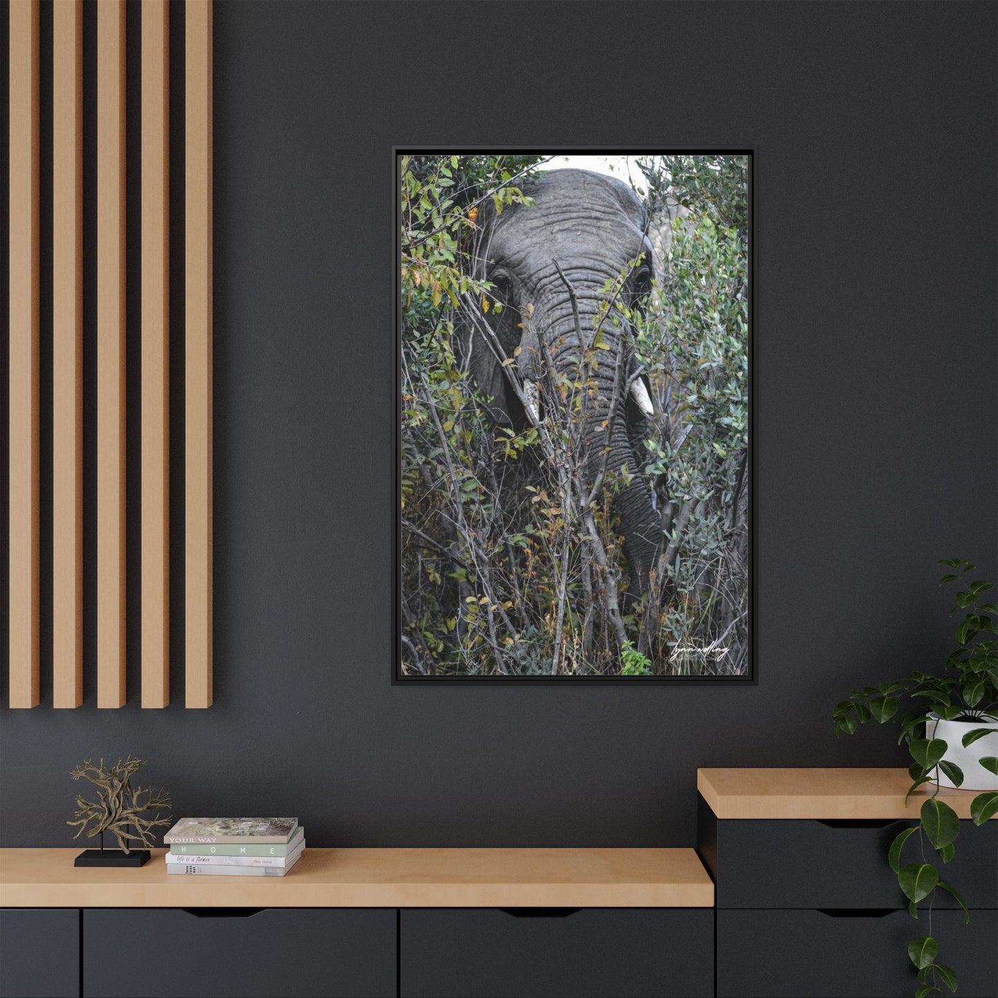 Eye to Eye - South Africa