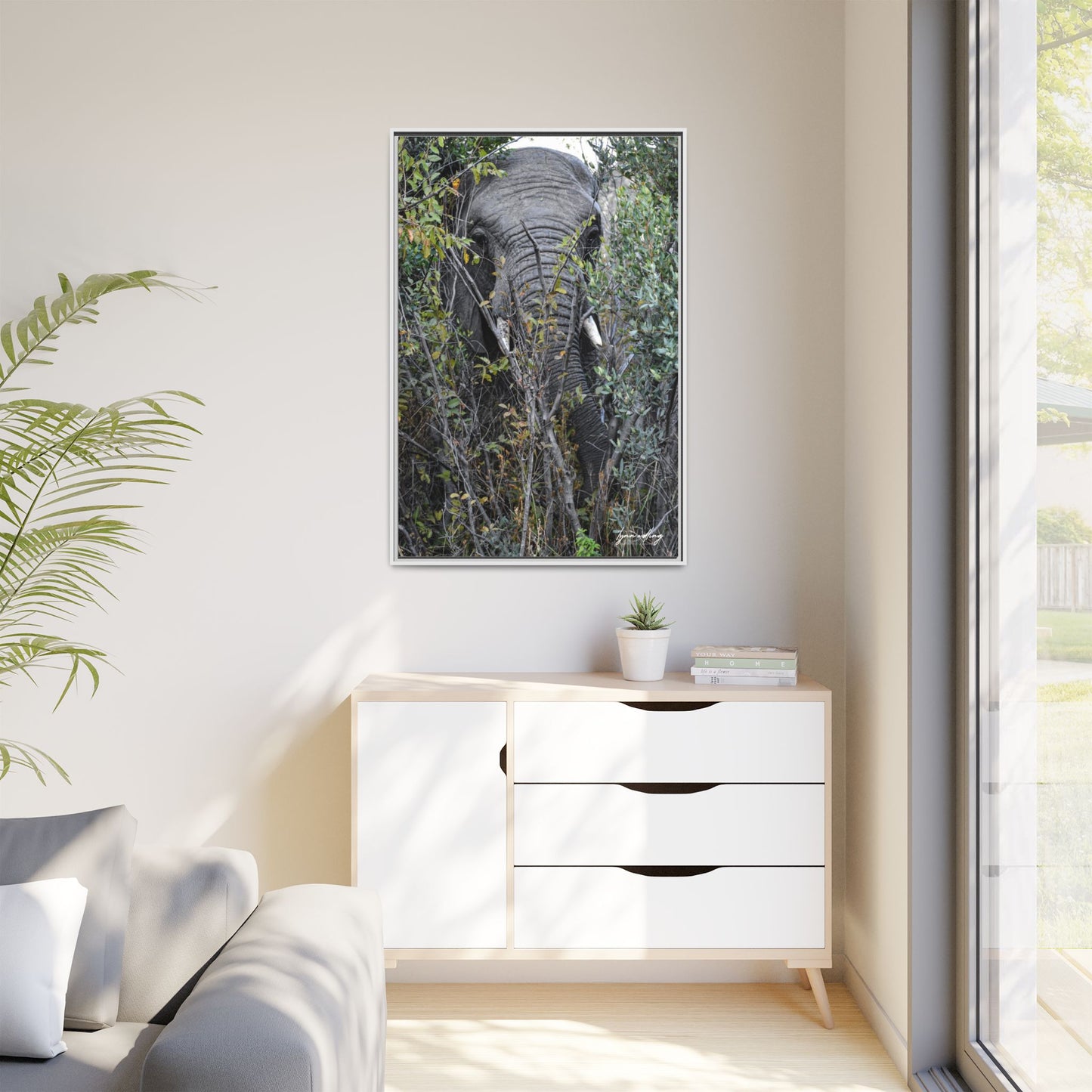 Eye to Eye - South Africa