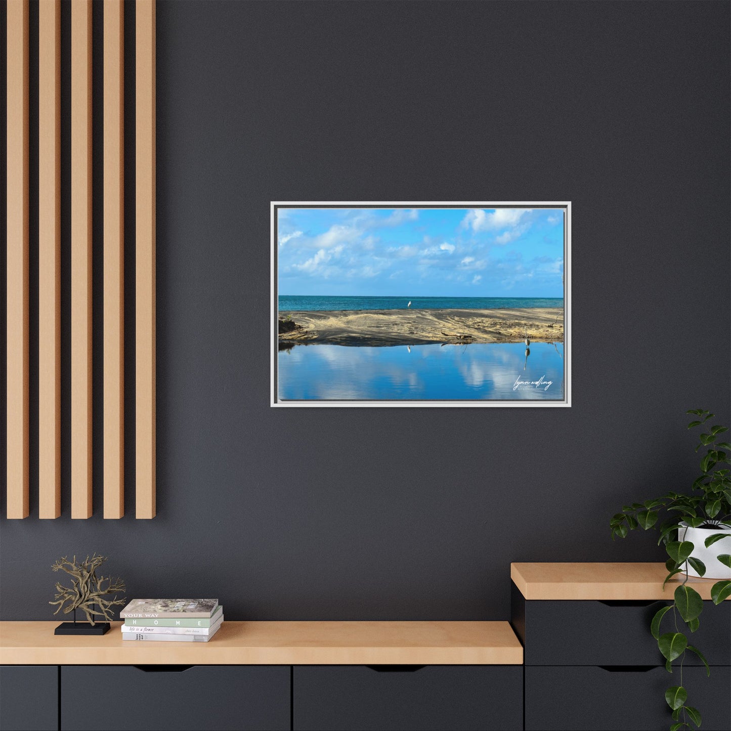 Wading - Puerto Rico